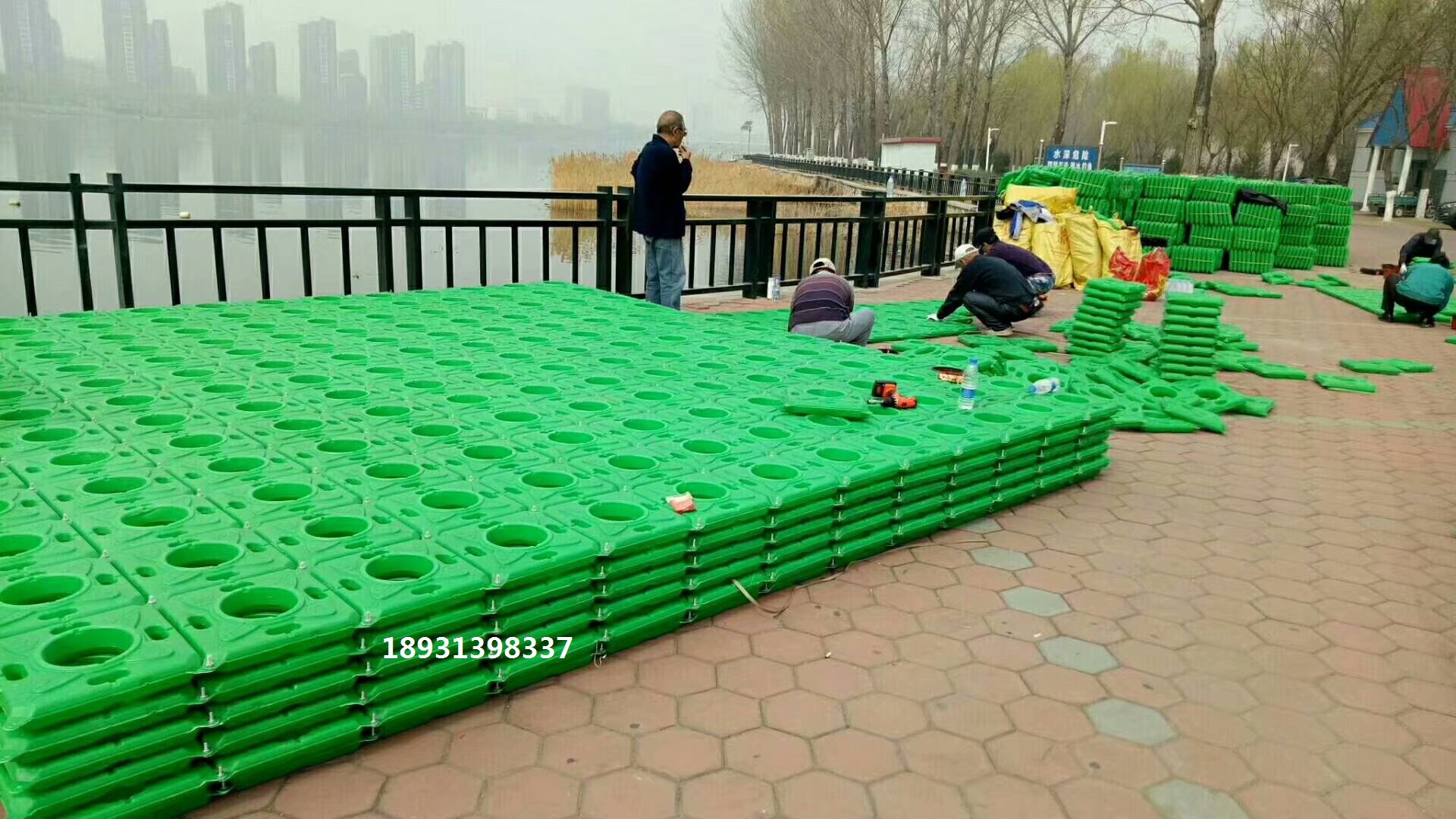 北京水生植物浮床